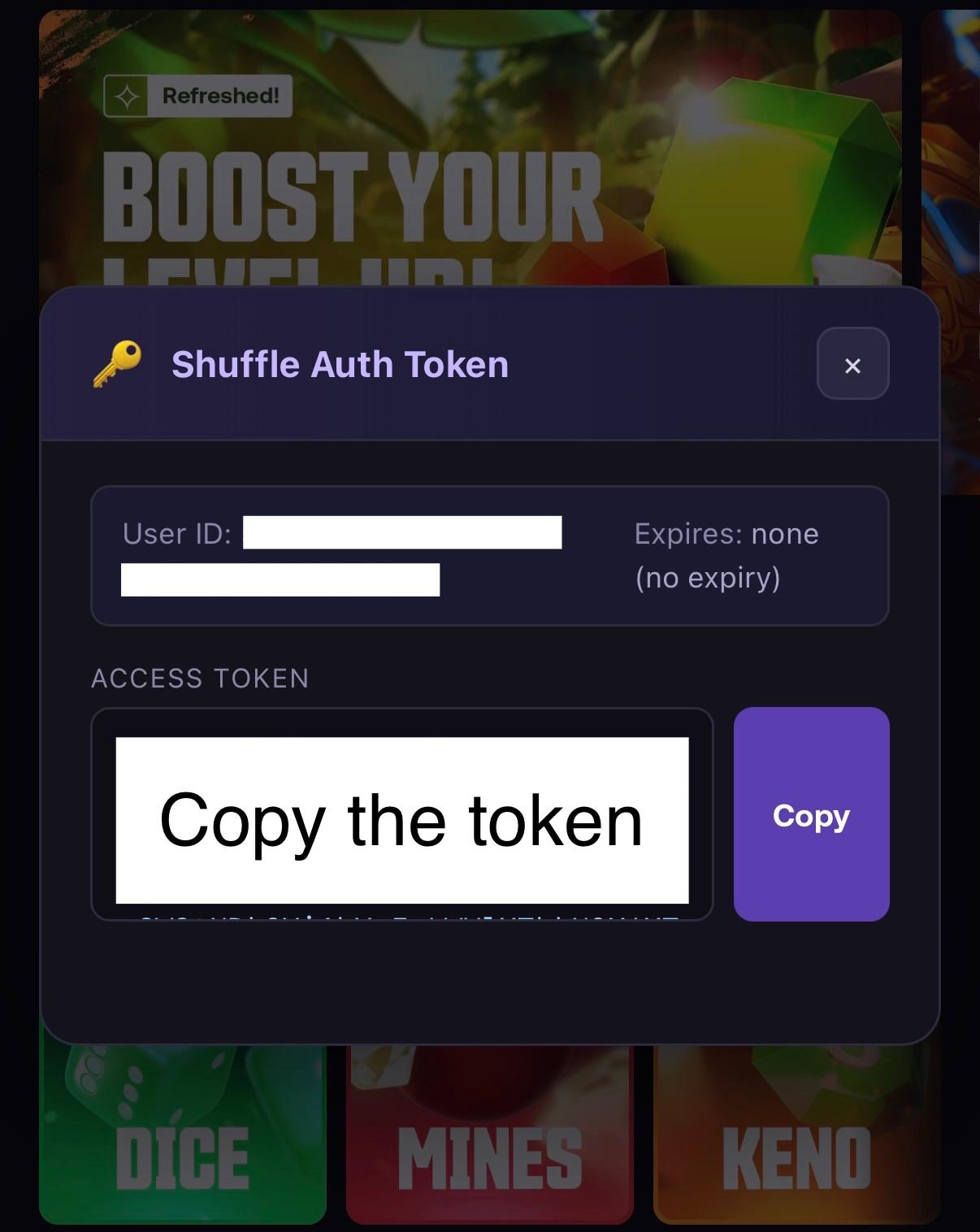 The Shuffle.com page showing the access token with a Copy button